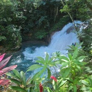 Meet your Posher, Rach